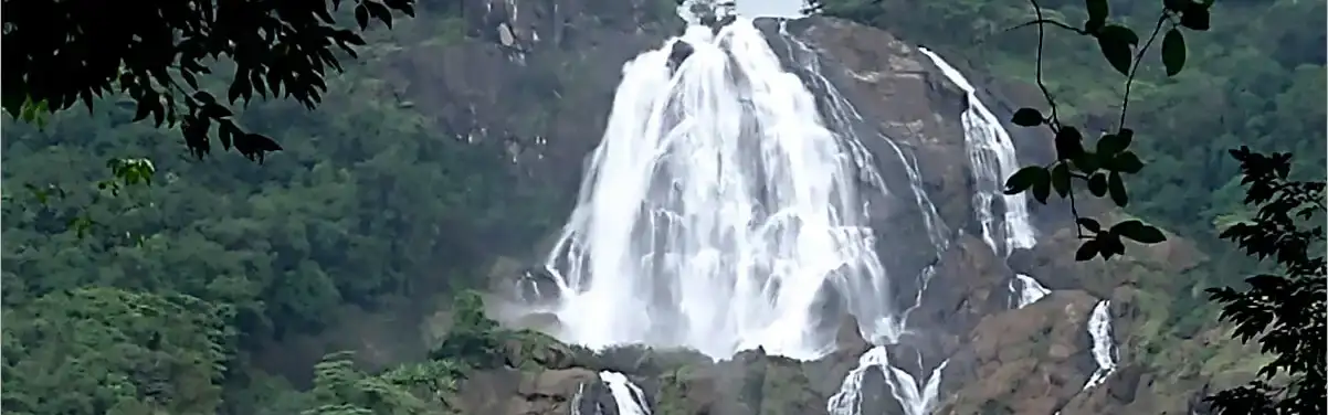 The Best Waterfalls in Goa Natures Splendor.webp banner Image