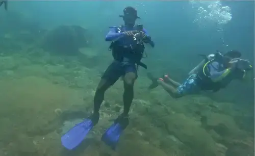 Scuba Diving In Goa: Dive Into Adventure, According To A Local