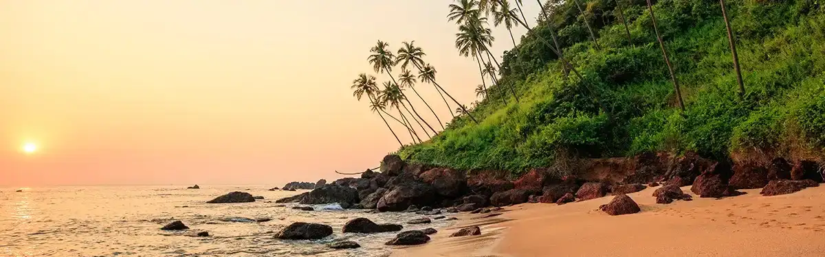 Goa-overview-things-to-do-in-goa.webp banner Image