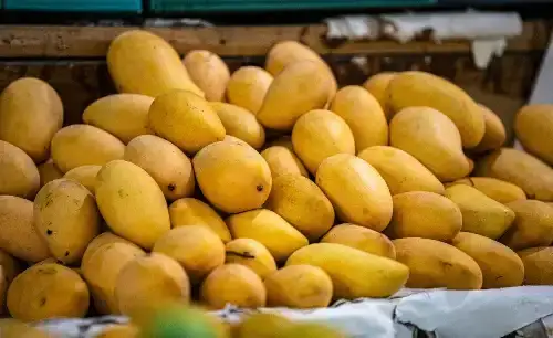 The Goa Mango Festival Guide, By A Goan