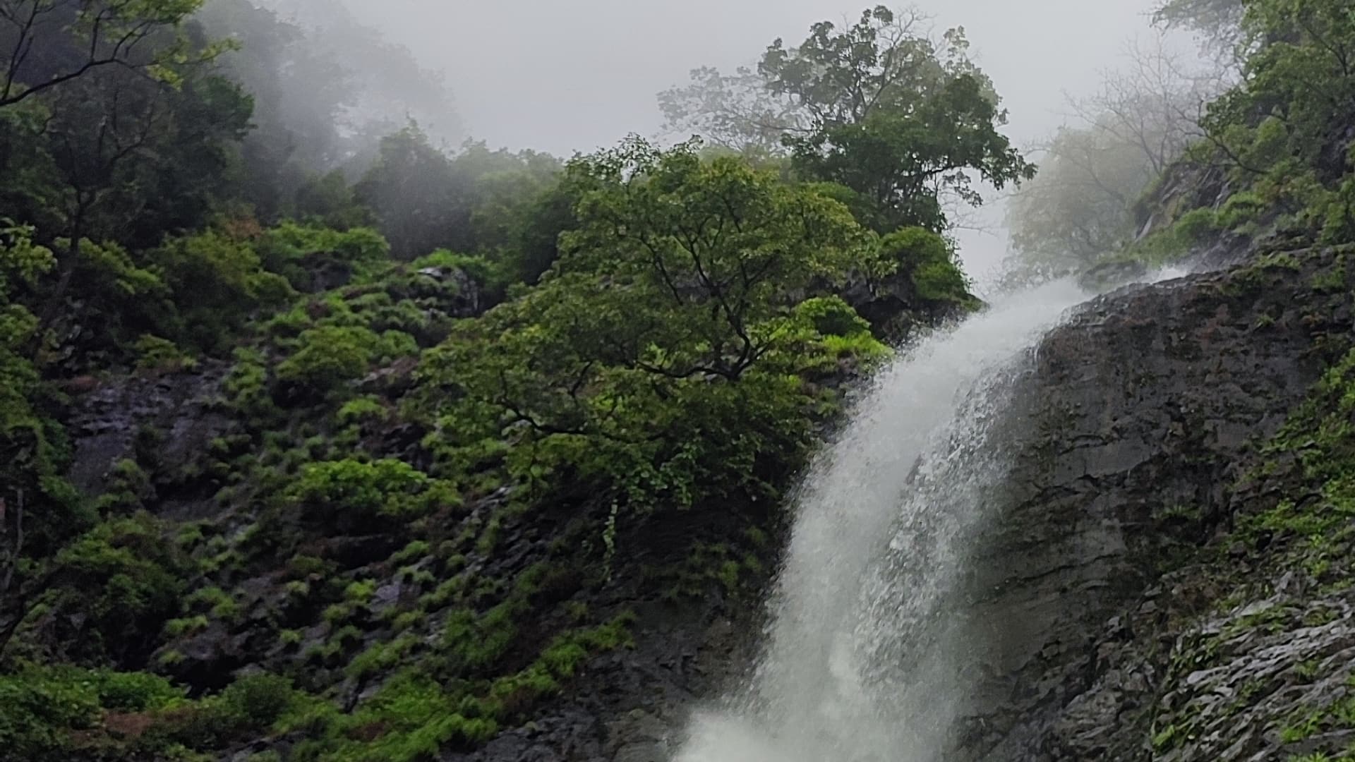 Monsoon Waterfall Trek
