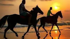Horse Ride at Agonda