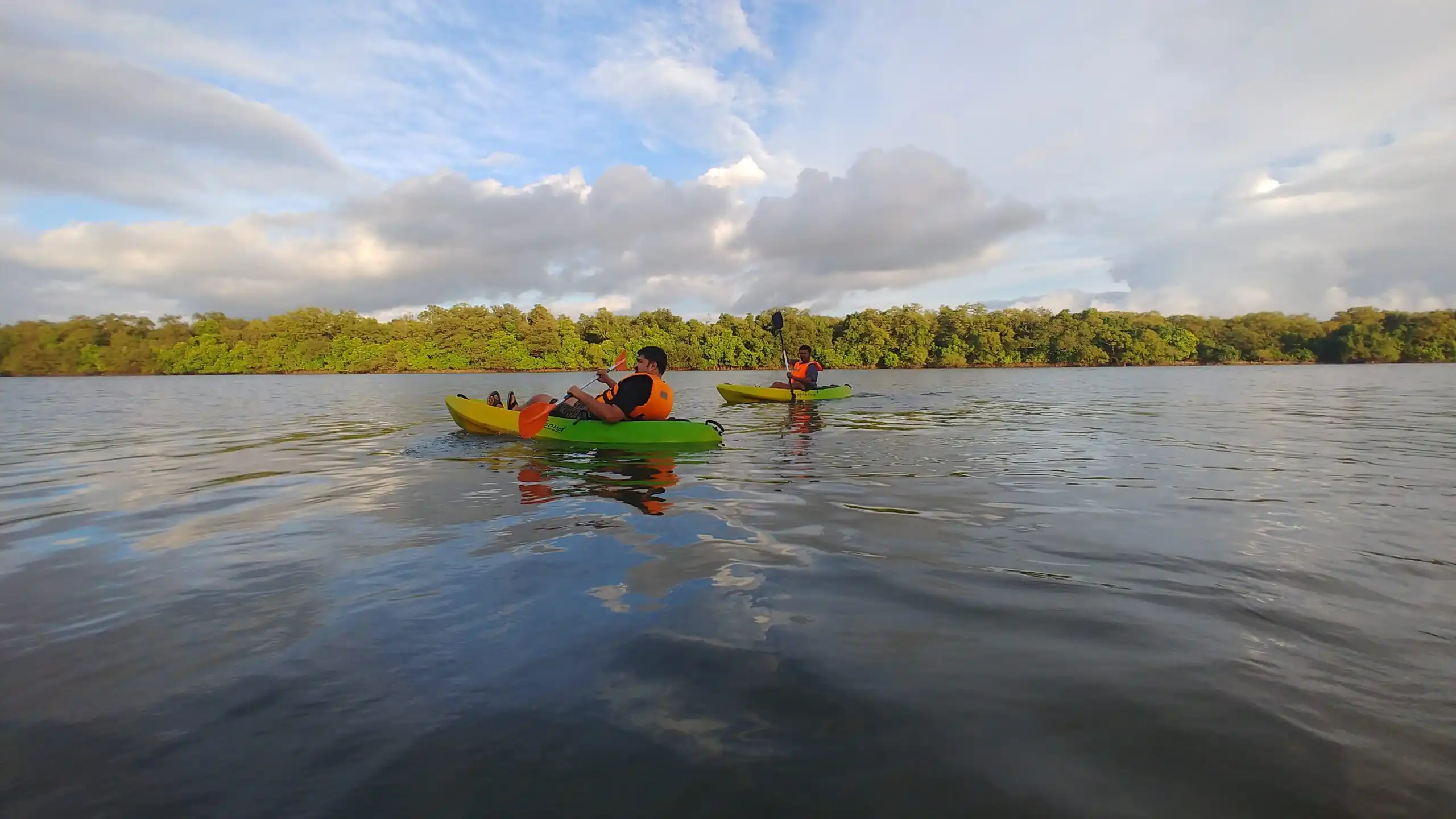 Mangrove Kayaking & Bird Watching