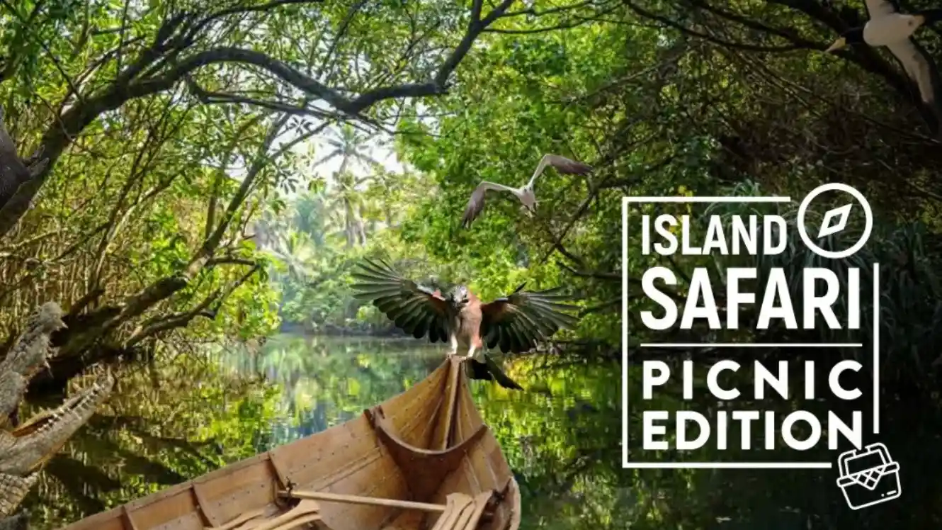 Island Safari - Picnic Edition