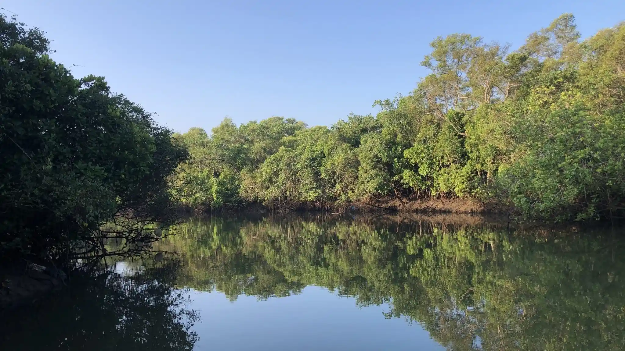 River Experiences at Chorao Island