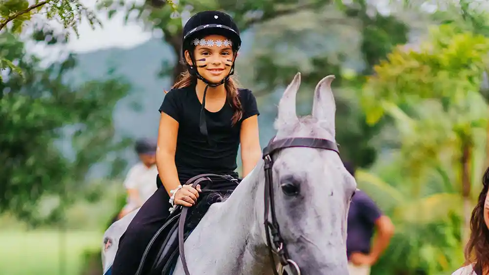 Joy Horse Riding