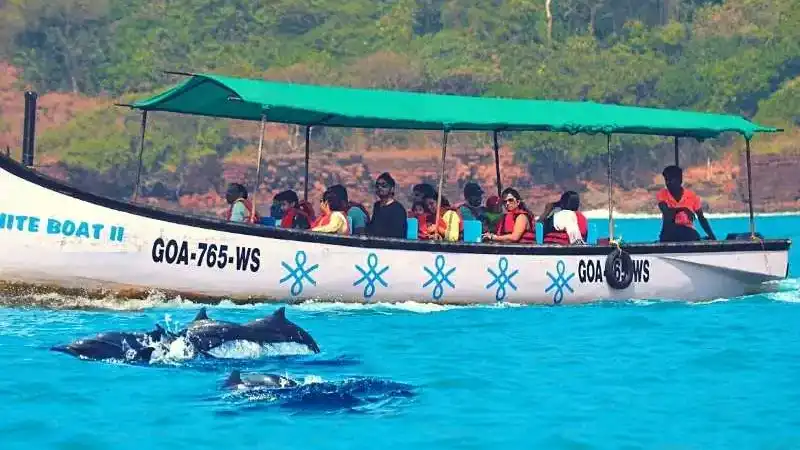 Dolphin Trip from Dona Paula Jetty