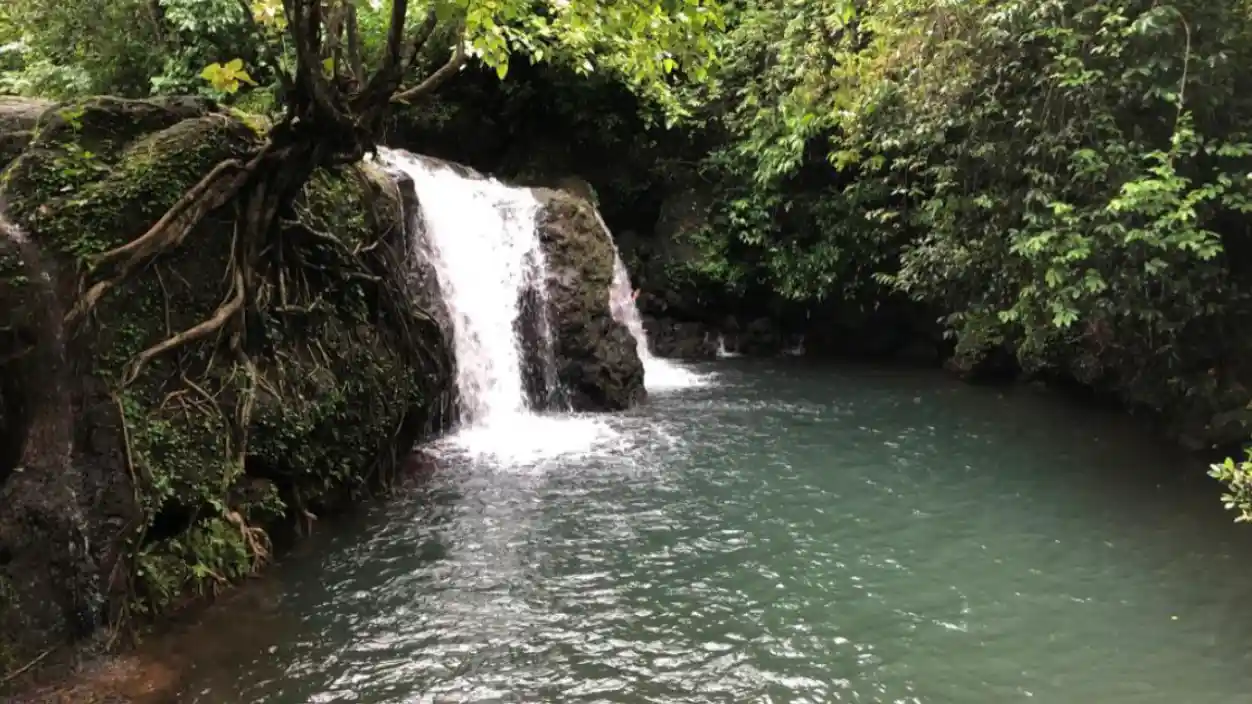 Hidden Waterfall Trail Rivona