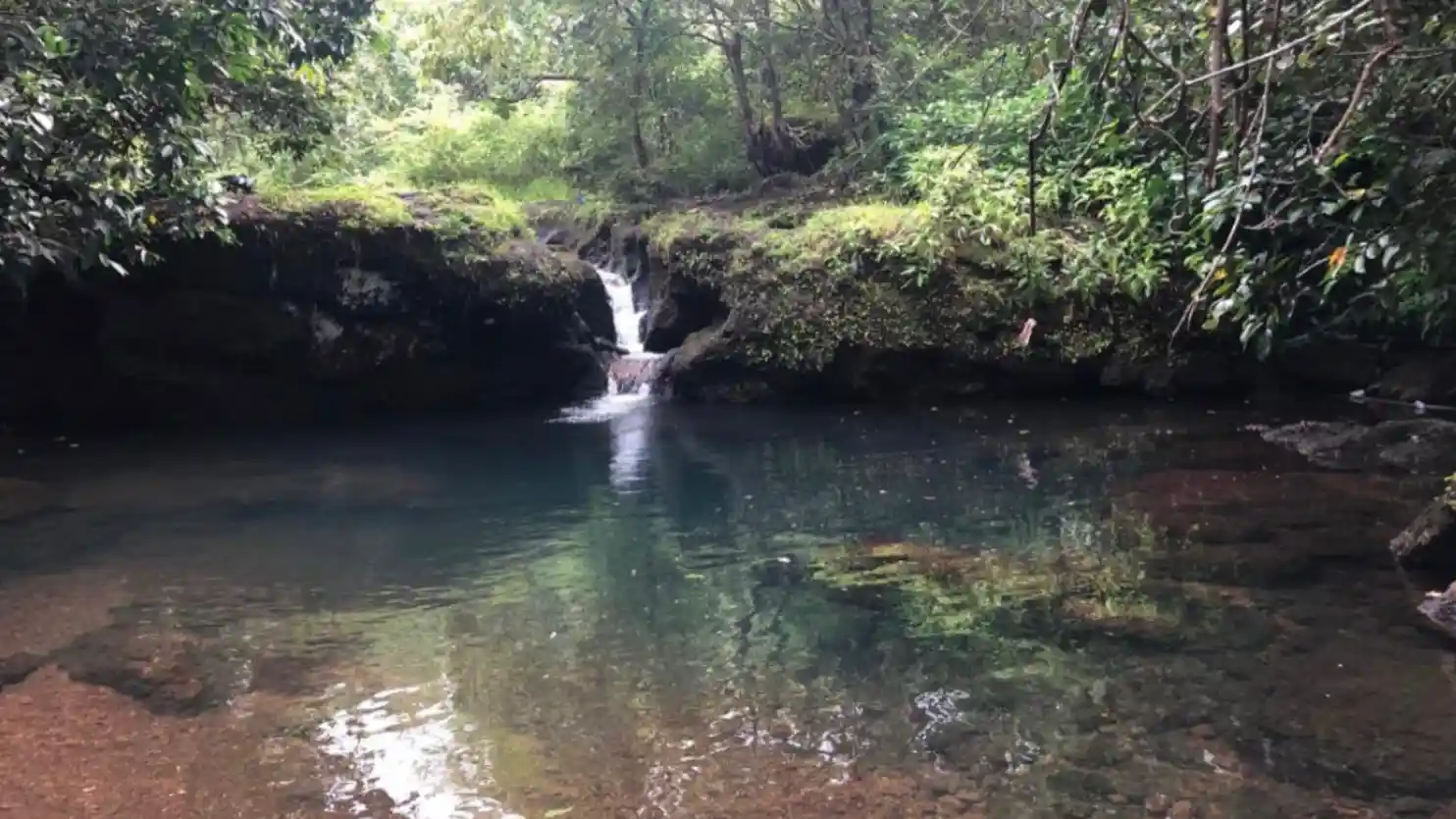 The Green Pool Waterfall Trek