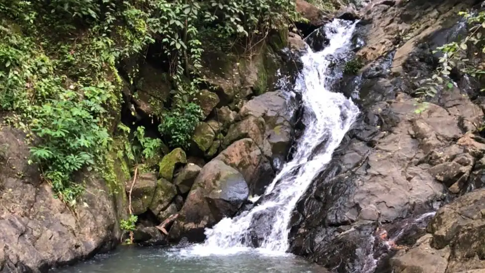 Hidden Waterfall Trek at Bhagwan Mahaveer Woldlife Sanctuary