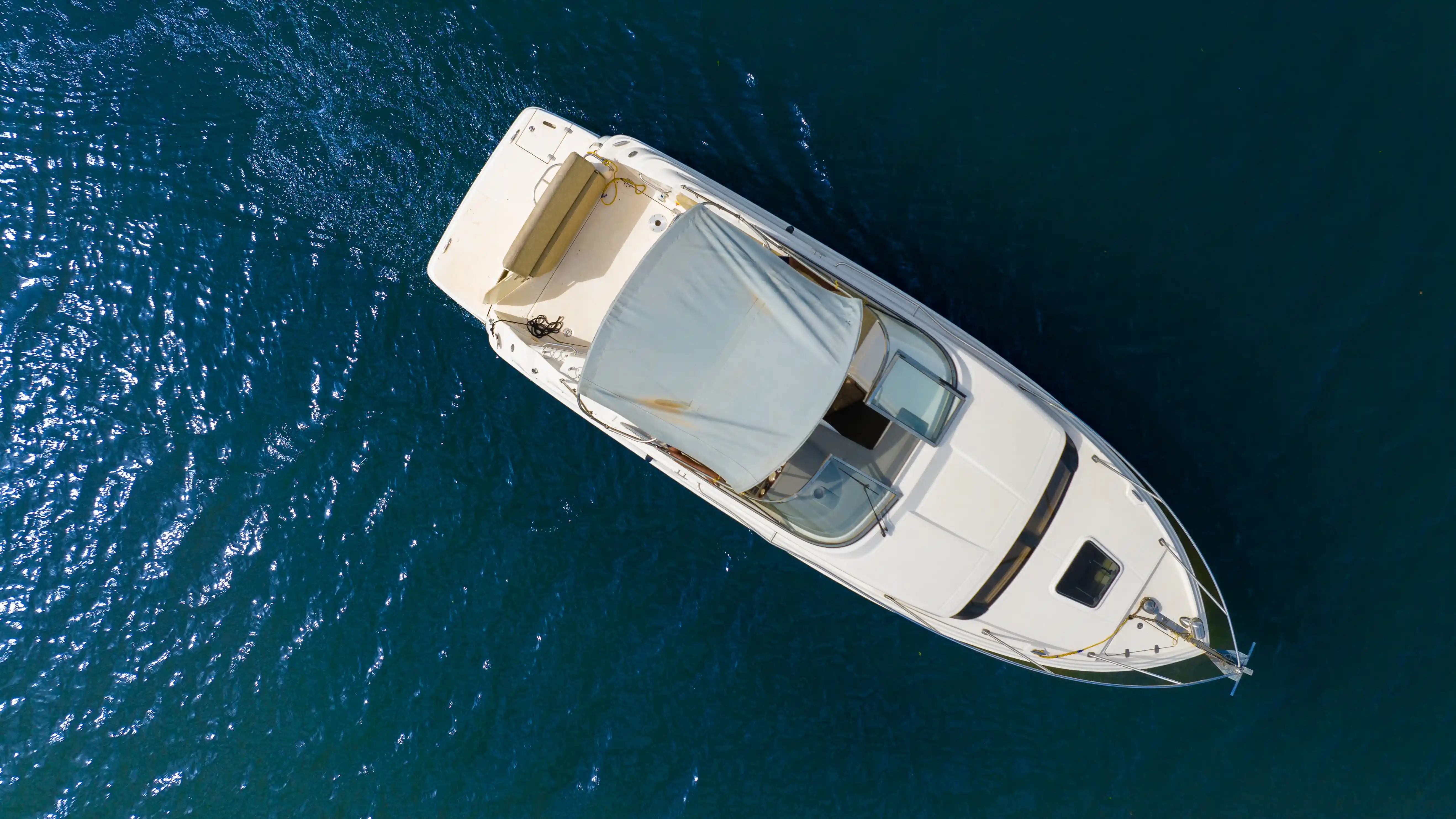 Yacht Rental - Prawn