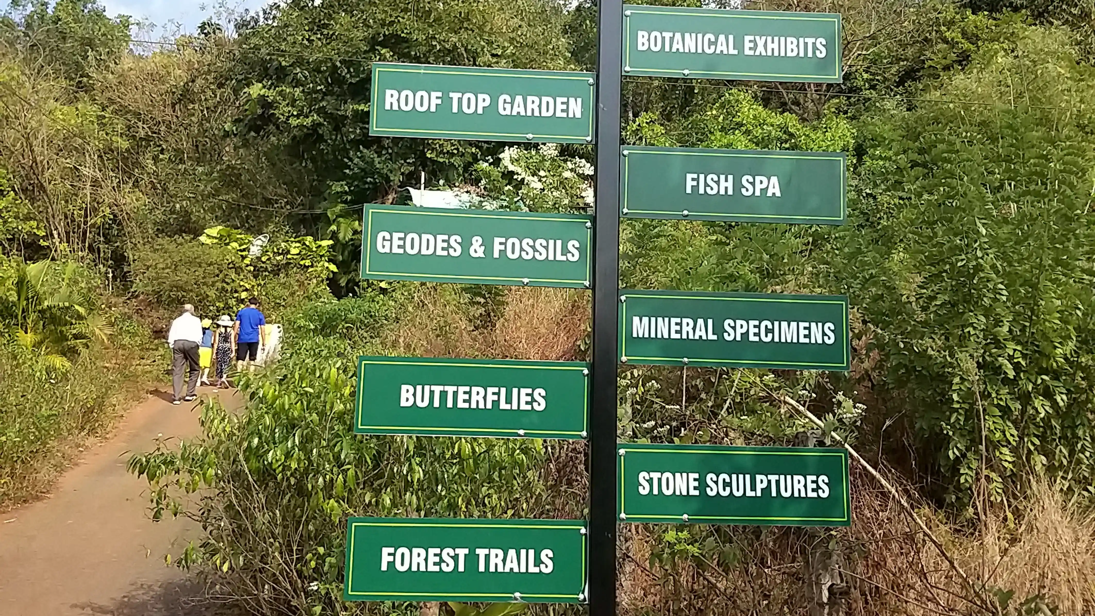 Mystic Woods by The Butterfly Conservatory of Goa