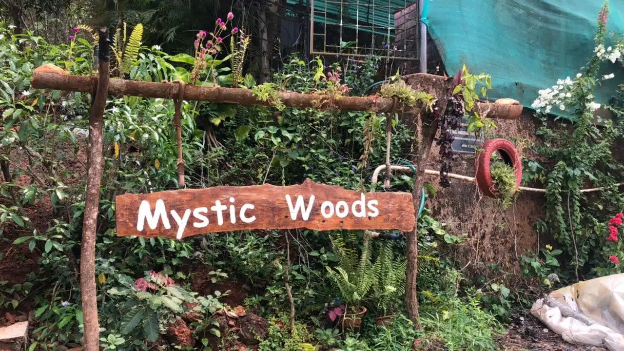Mystic Woods by The Butterfly Conservatory of Goa