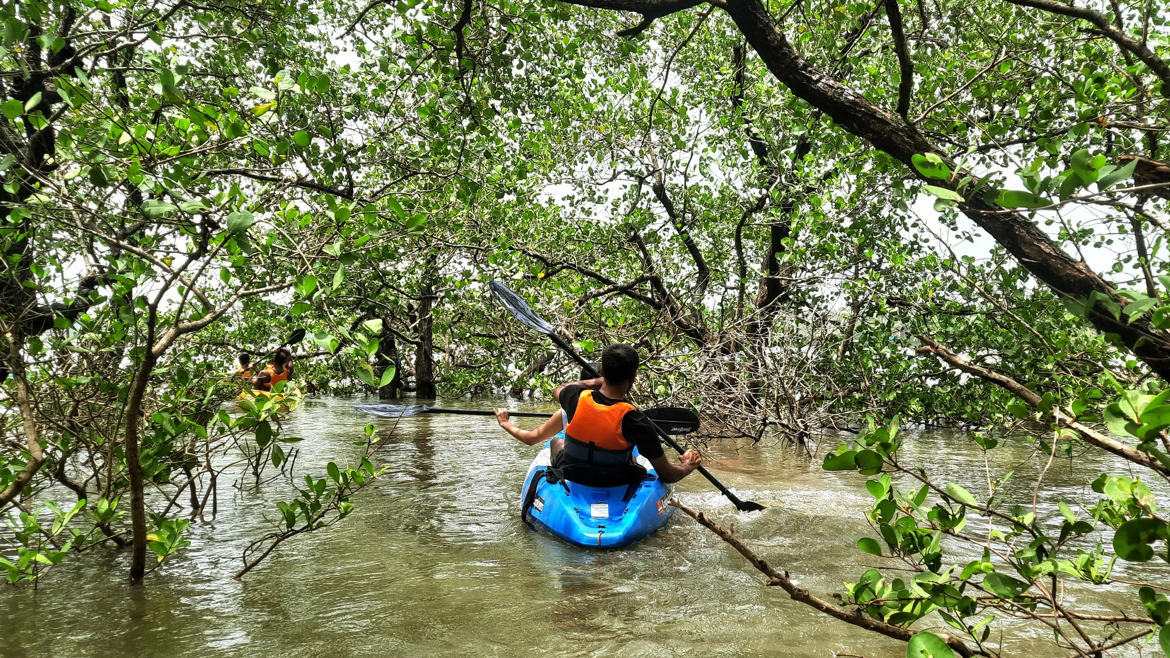 Kayaking Program by Konkan Explorers