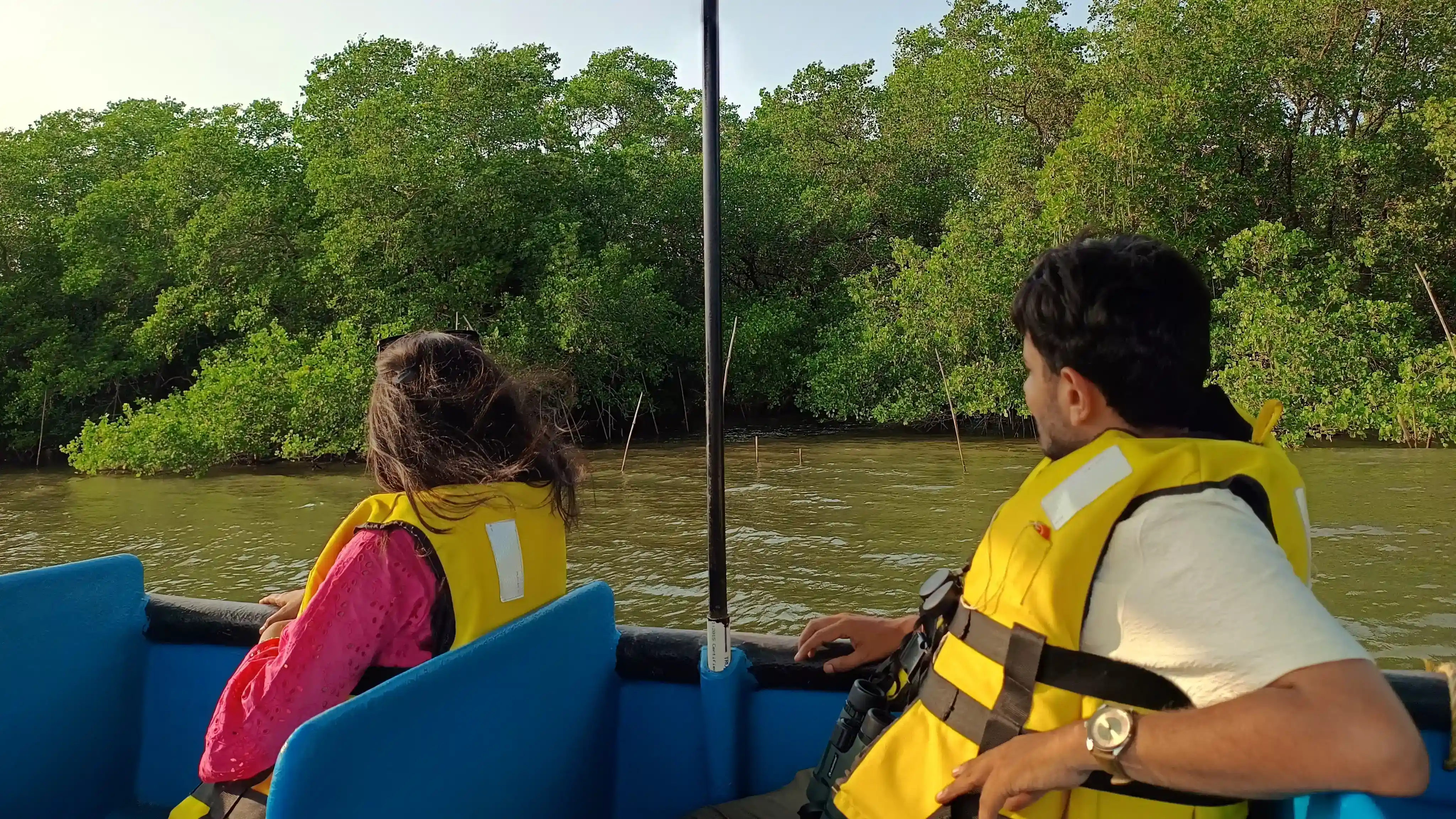 Mangrove Boat Ride in Goa