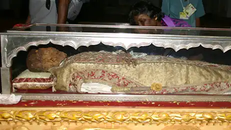 DAILY PASS- The XIX Exposition of the Sacred Relics of St Francis Xavier