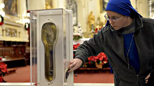 DAILY PASS- The XIX Exposition of the Sacred Relics of St Francis Xavier